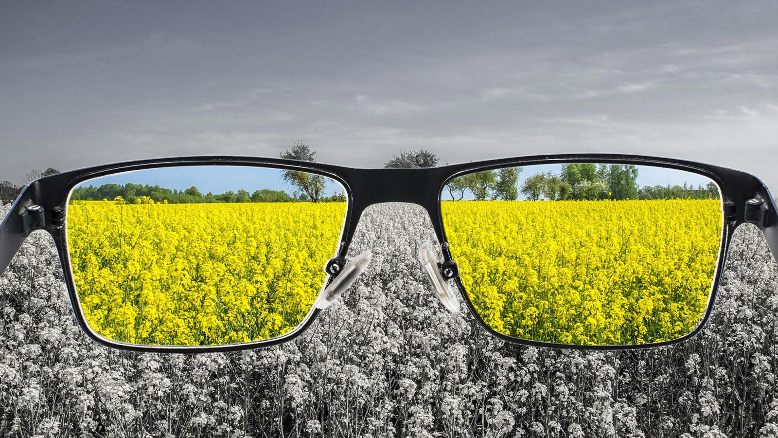 Glasses for the Colourblind